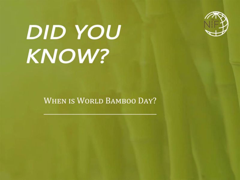 Dia Mundial do Bambu